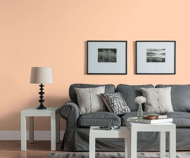 Peach Color in Interior Design